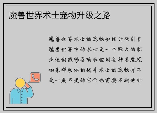 魔兽世界术士宠物升级之路